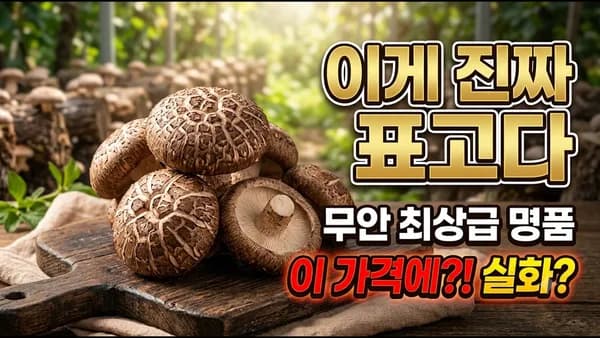 국내산 생표고버섯 500g 6,930원