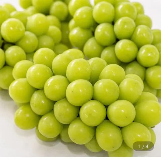 김천하우스 샤인머스켓 2kg 실속형 4-5수(11,750원/무료)