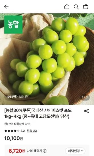 샤인머스켓 kg 중 2송이 (6,720원/무료)1
