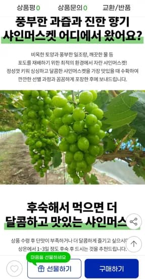 산지직송 고당도 샤인머스켓 2kg 3~4수 (12,980원/무료배송)