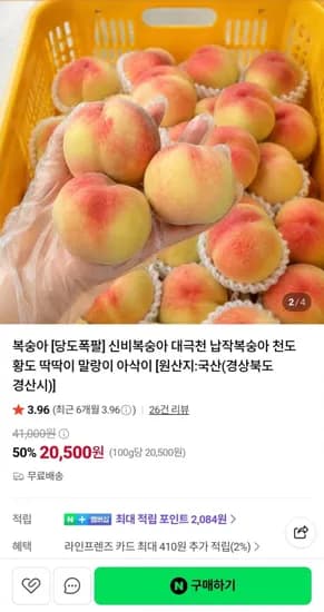 대월 딱딱이복숭아 3kg 소과 (20,500원/무료배송)
