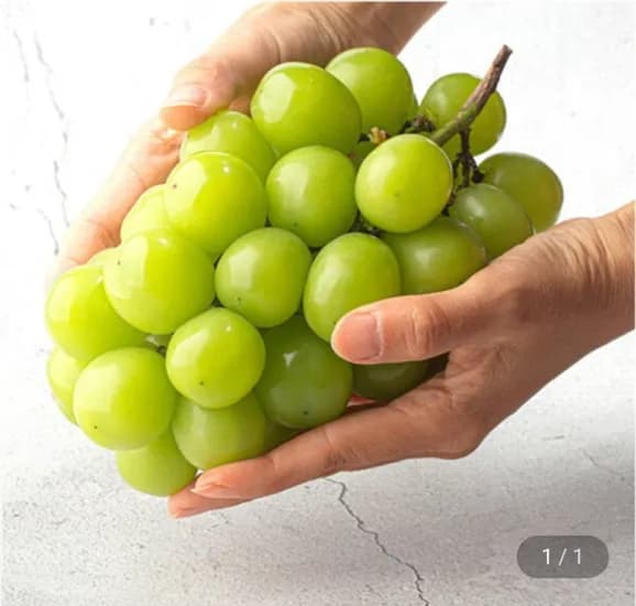 산지직송 고당도 샤인머스켓 2kg 3~4수 11,940원