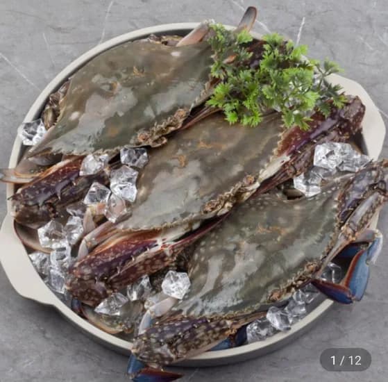 산지직송 태안생물 가을 활 숯꽃게 빙장포장 2kg 6-10미