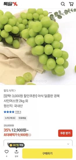 경북 샤인머스켓 2kg