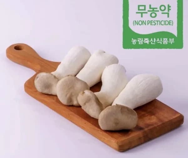 새송이버섯 조림용 1kg