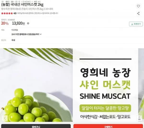 영희네농장 큰송이 샤인머스캣 2kg 2 3수