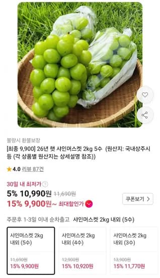 26년 햇 샤인머스켓 2kg 5수 9,900원