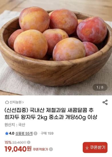 새콤달콤 추희자두 2kg 19,040원