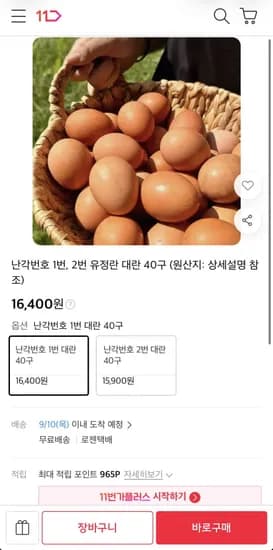 난각번호 1번 대란 40구