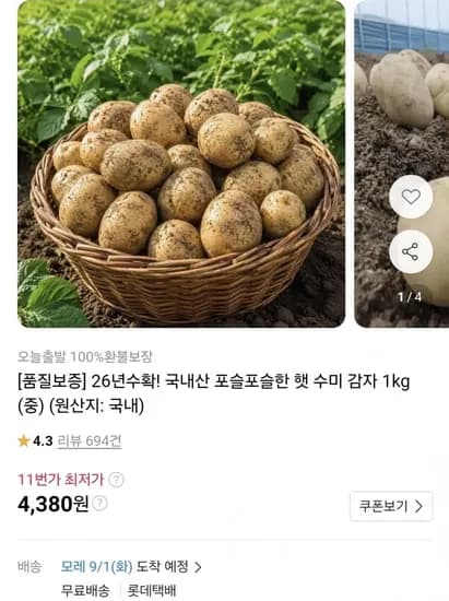 햇 수미감자 중 1kg