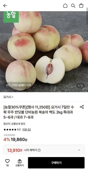 백도복숭아 2kg 특대과 5 6과 13,910원