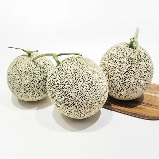 멜론 2kg 4수