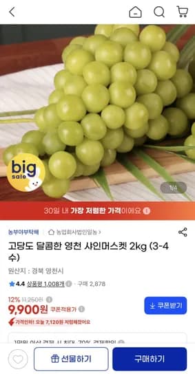 고당도 달콤한 영천 샤인머스켓 2kg 3-4수 9,900원