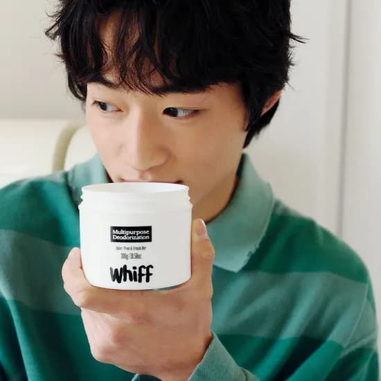 위프 탈취제 고체탈취제 300g 2개 린 100g