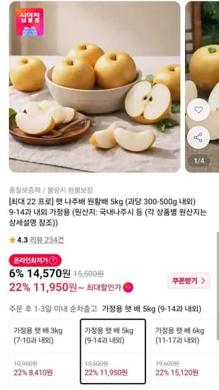 햇 나주배 원황배 5kg 9-14과 내외
