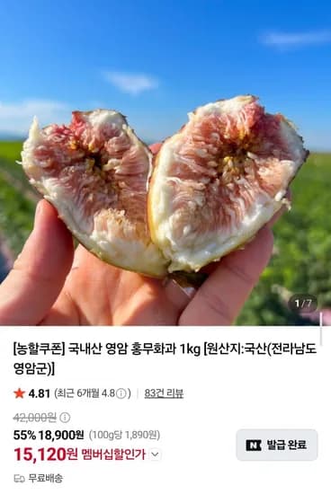국내산 영암 홍무화과 1kg