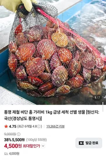 통영 비단 홍가리비 2kg (10,000원/네멤무배)