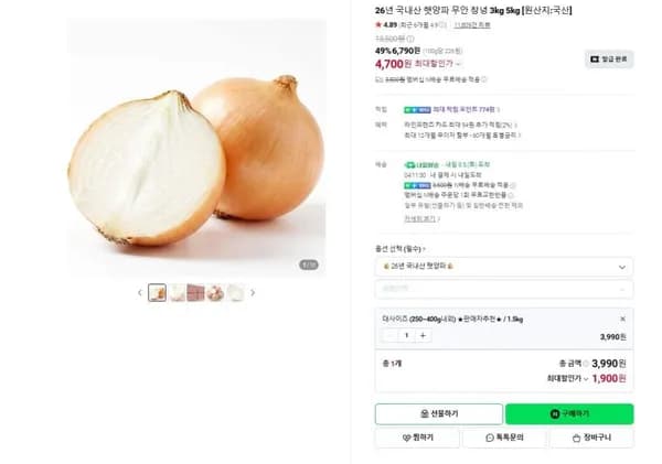 국내산 햇양파 무안 창녕 대사이즈 250~500g 내외