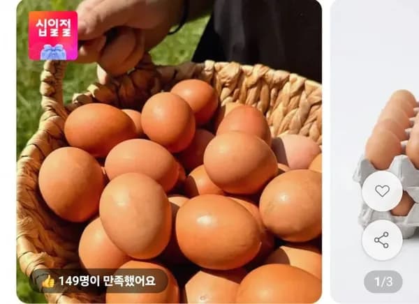 생란 난각번호 1번 40구 14,960원