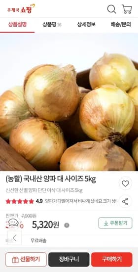 국내산 양파 대 사이즈 5kg