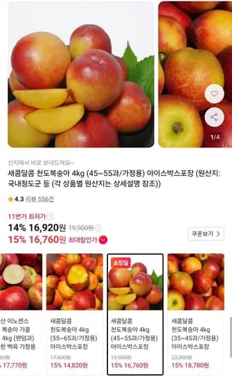 새콤달콤 천도복숭아 4kg 4~55과 가정용