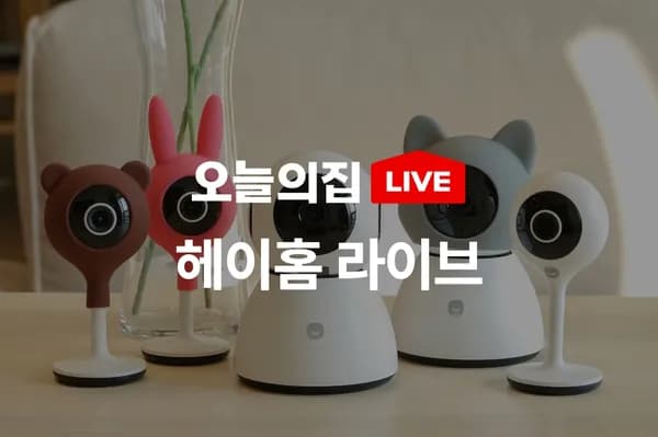 헤이홈 홈카메라 1세대 PRO 5MP 2개