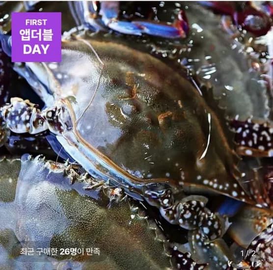 당일조업 제철 활 숫꽃게 2kg