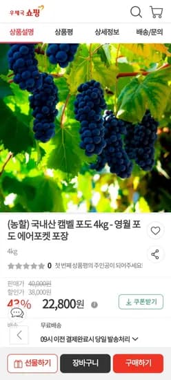 국내산 캠벨 포도 4kg