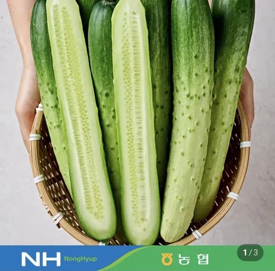 백다다기 오이 2kg 특품