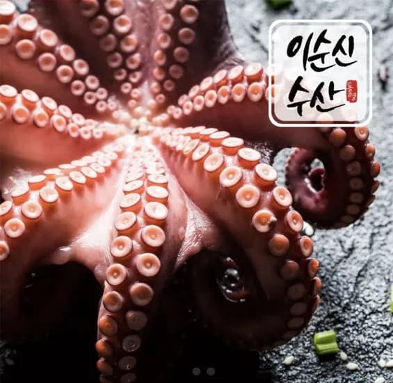 돌문어 1kg 2마리 13,740원