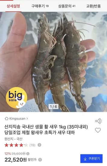 활 새우 1kg 35미 내외