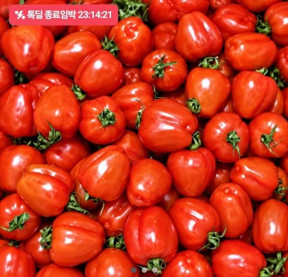루비벨 방울 토마토 1kg