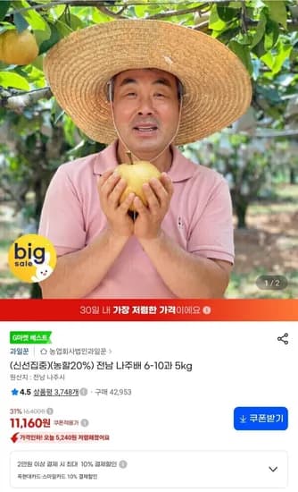 전남 나주배 6-10과 5kg