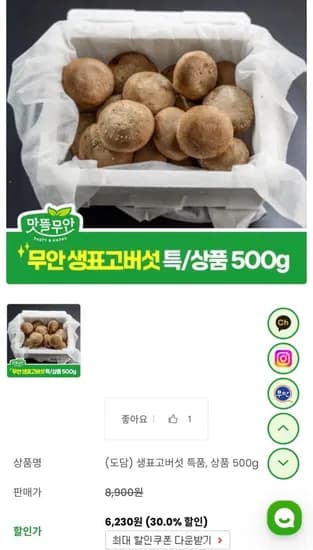 생표고버섯 500g