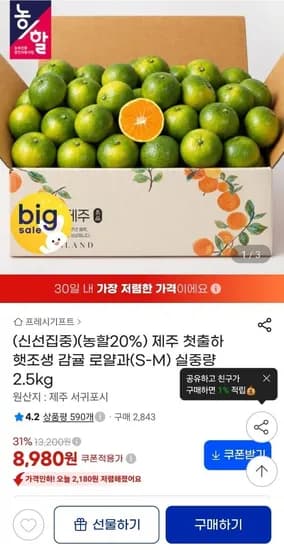 제주 햇 조생감귤 로얄과 2.5kg