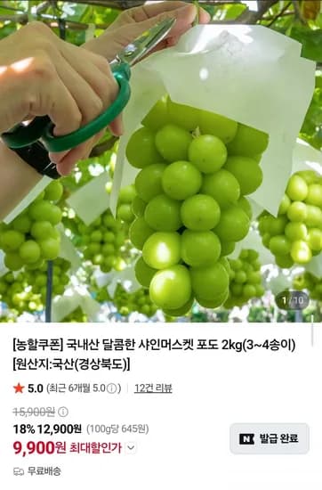 국내산 샤인머스켓 2kg
