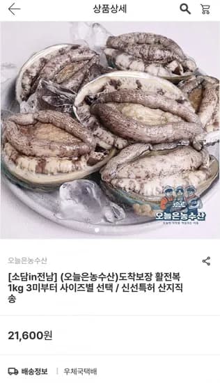 국산 활전복 8마리 총 kg