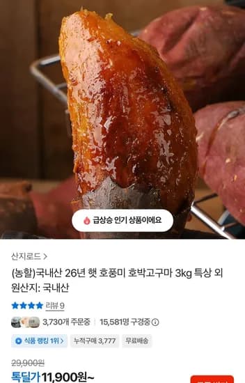 국내산 26년 햇 호풍미 호박고구마 3kg