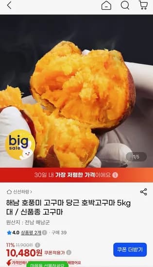 해남 호풍미 당근 호박고구마 5kg 대