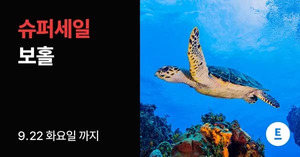 보홀 노옵션/노쇼핑 박5일 패키지 (453,000원부터/무료)4
