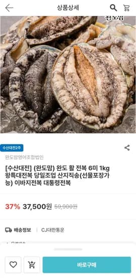 완도 활 전복 6미 kg