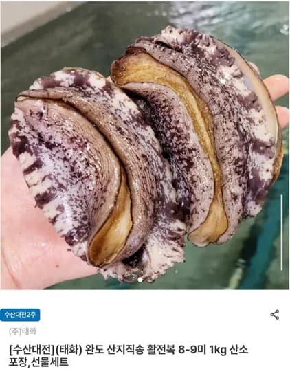 완도 산지직송 활전복 1kg 8~9미