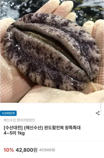완도 활전복 왕특특대 4미 1kg