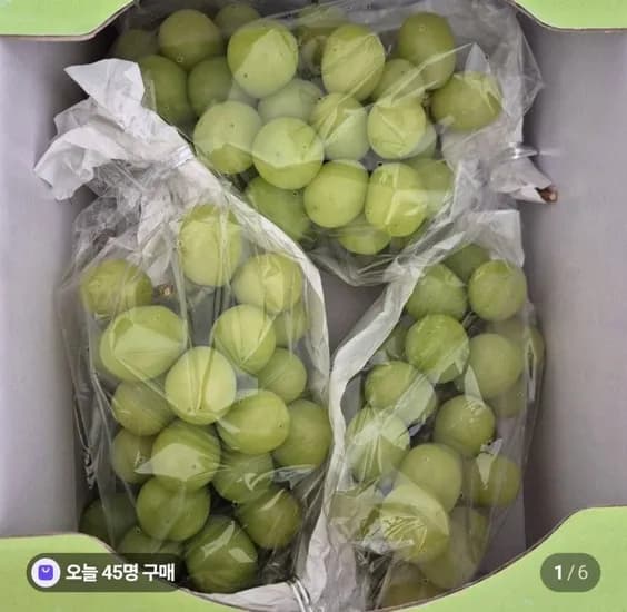 국산 샤인머스켓 1kg
