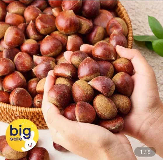 부여 함양 산청 햇 밤 중 사이즈 2kg