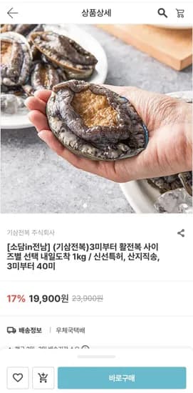 기삼전복 활전복 1kg 9미 기준
