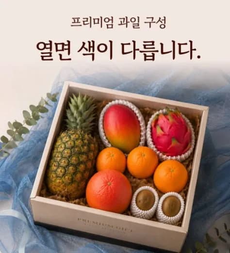 제철팜 혼합 과일 선물세트 4kg A형 메론