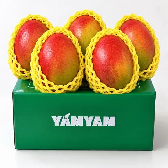 브라질 프리미엄 고당도 애플망고 2kg 4-5입 (28,858원/무료)