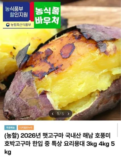 해남 햇 호박고구마 3kg 중