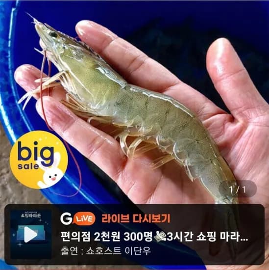국내산 제철 흰다리 왕새우 1kg 30미 내외